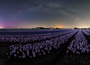 Noorderlicht fotograferen Nederland